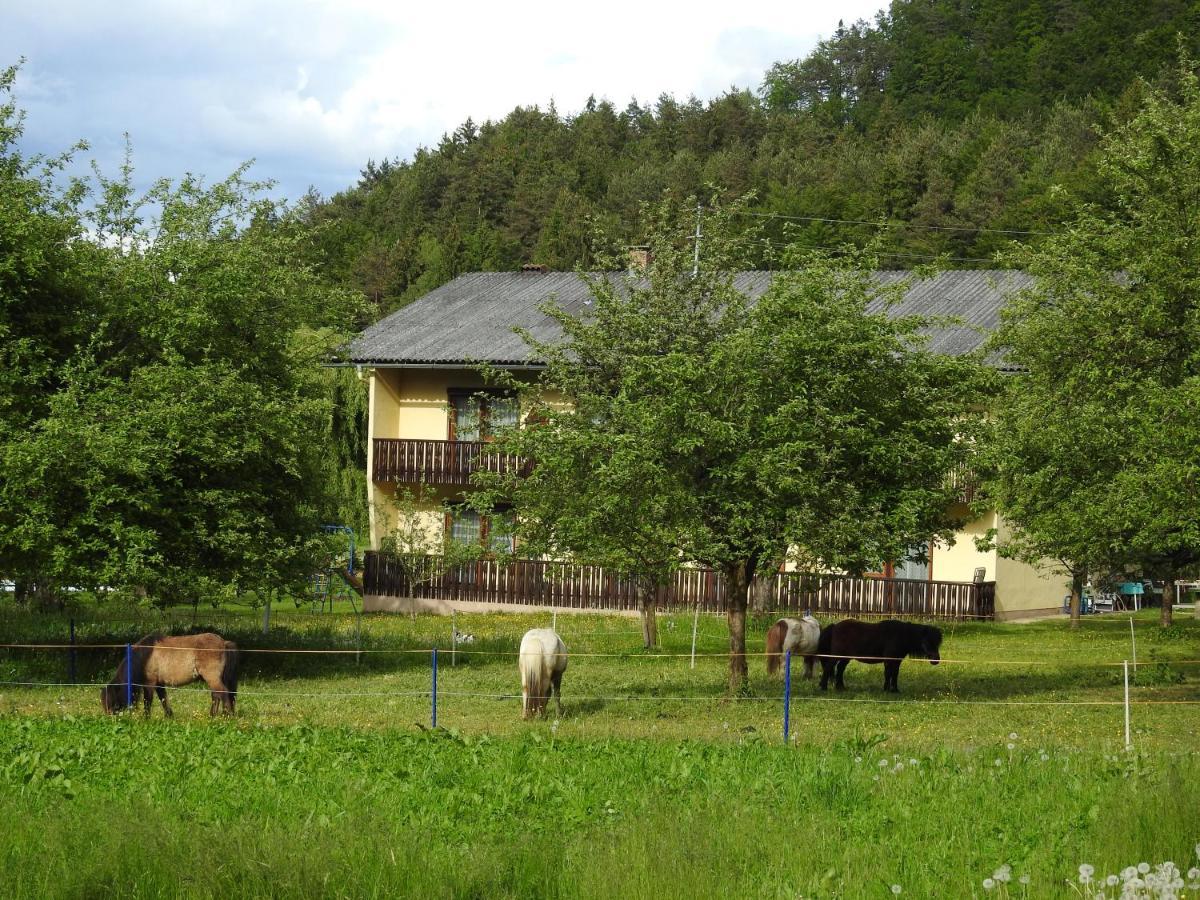 Apartment Am Ponyhof Sankt Kanzian am Klopeiner See Exteriér fotografie